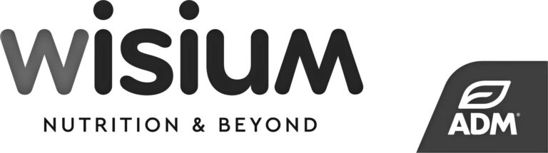 Wisium Logo and ADM (002) noir