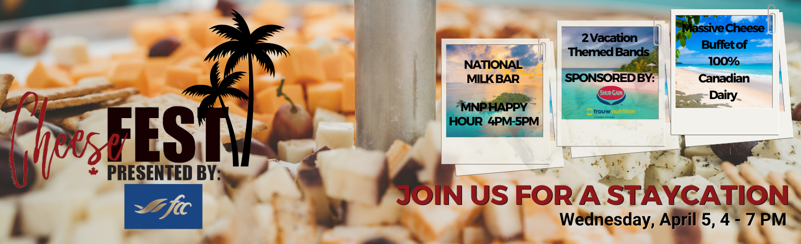 CheeseFEST web banner